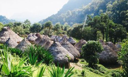 Guardians of the Earth: A Yogic Pilgrimage to the Heart of the Sierra | Colombia